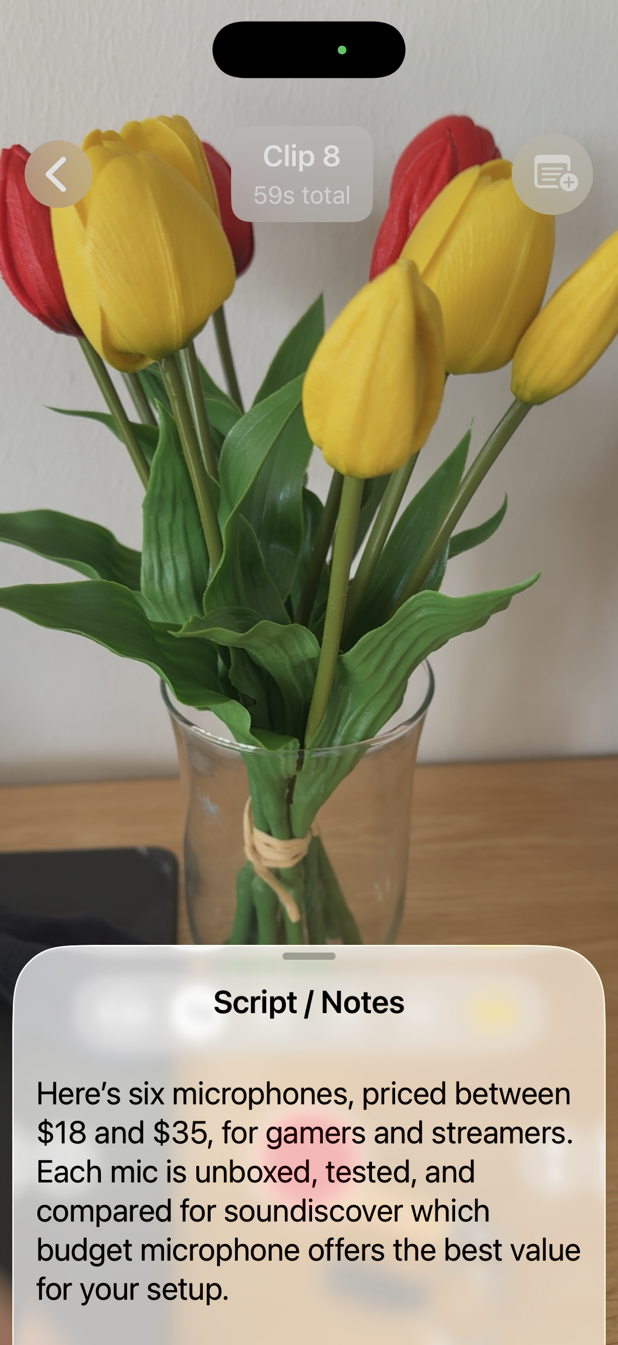 Script overlay på kameravisning